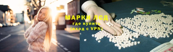 PSILOCYBIN Белокуриха