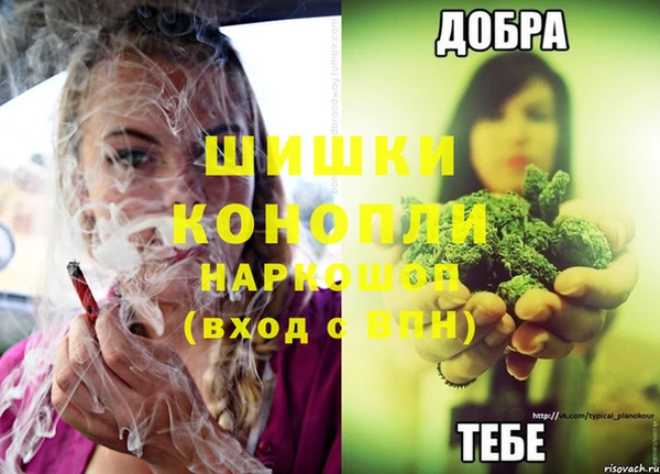 прущая мука Богородицк