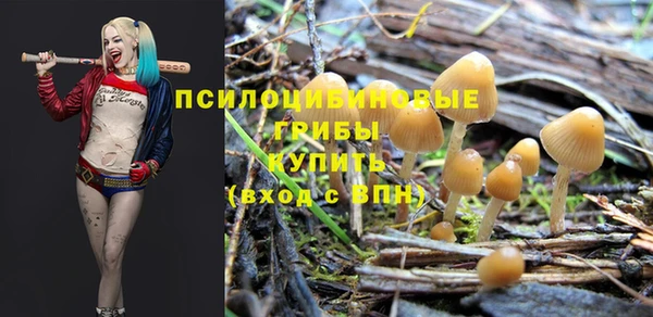 винт Беломорск