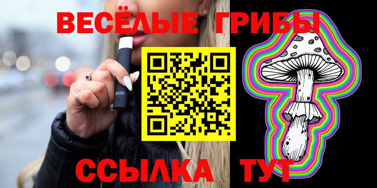 Галлюциногенные грибы Черкесск