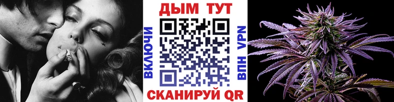Бошки марихуана планчик Черкесск