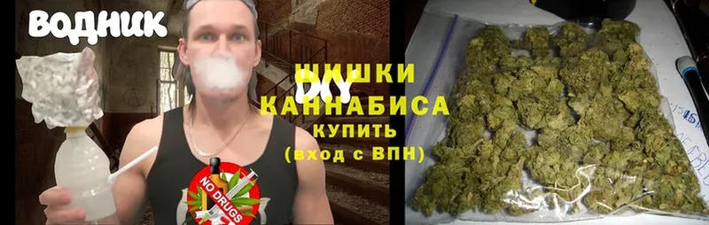 Бошки марихуана White Widow  Черкесск 